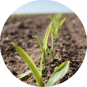 LANDW. BETRIEBSMITTEL